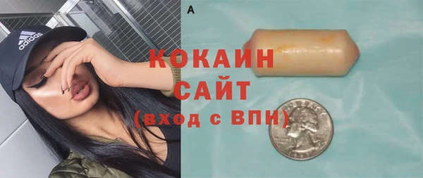 индика Новозыбков