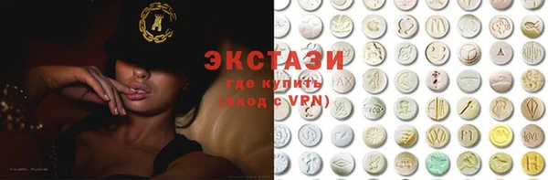 индика Новозыбков