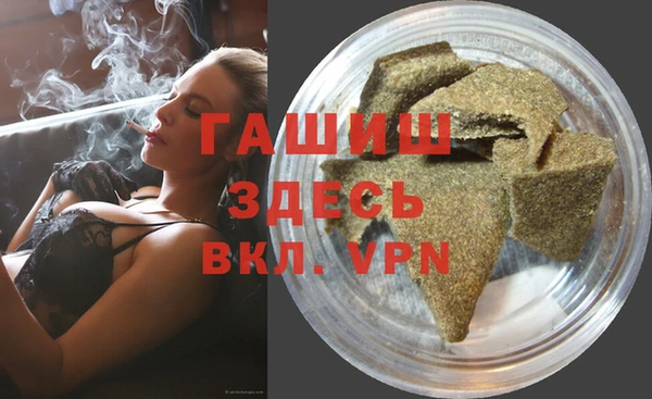 индика Новозыбков