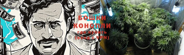 ГАЛЛЮЦИНОГЕННЫЕ ГРИБЫ Абдулино