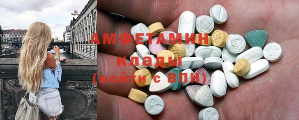 индика Новозыбков