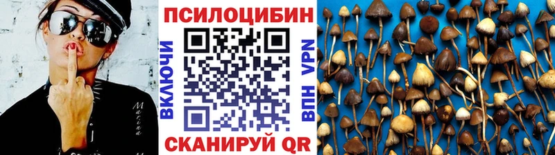 OMG ссылка  Красноперекопск  Псилоцибиновые грибы прущие грибы 